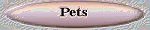 Pets: Looking for pet supplies then look in here.